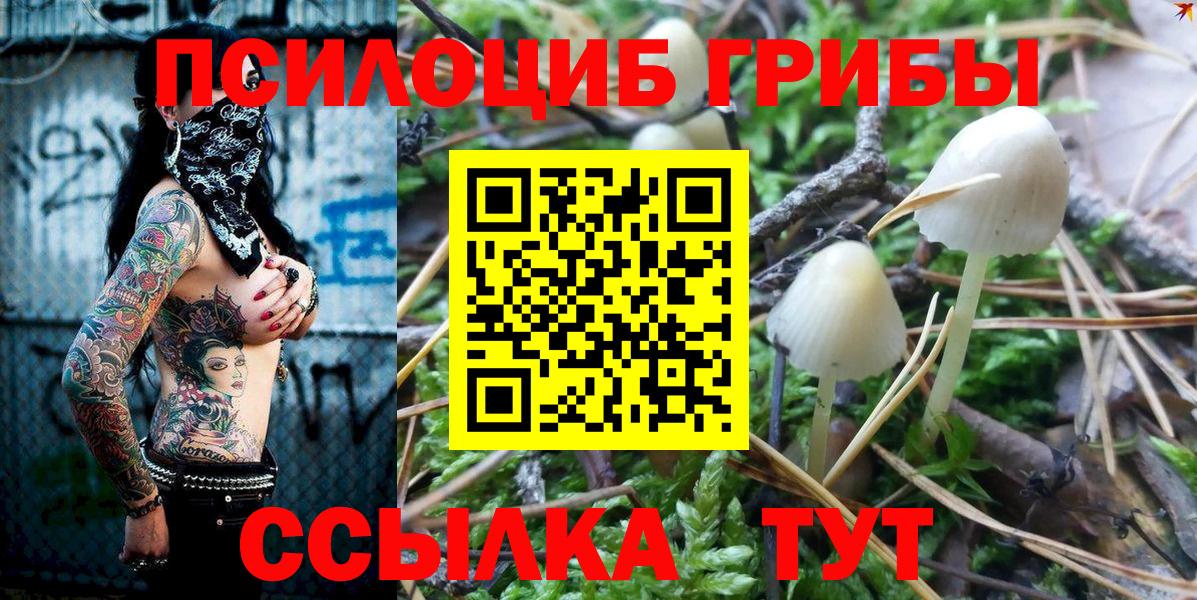 Галлюциногенные грибы Psilocybe Ижевск