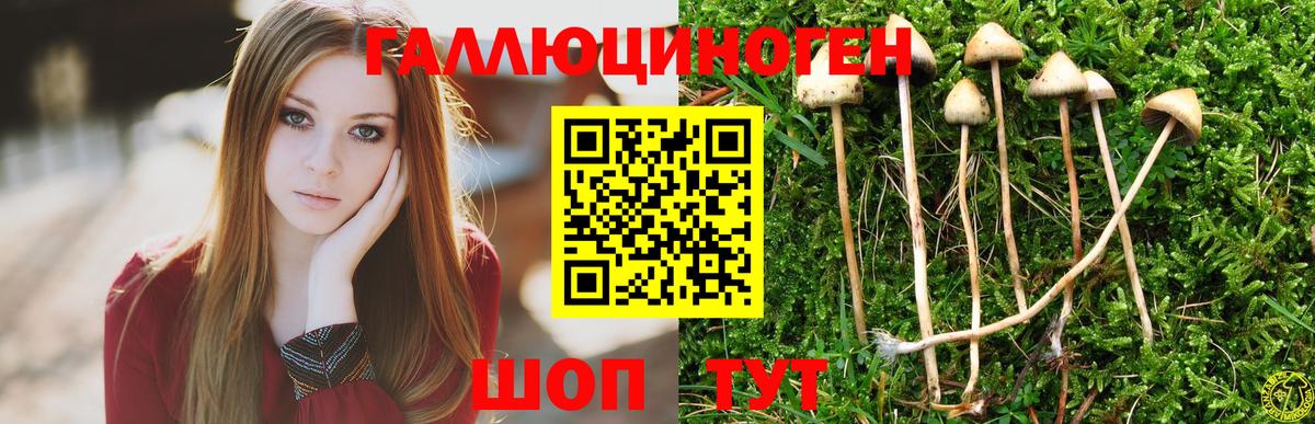Галлюциногенные грибы прущие грибы  Вход с VPN  Ижевск 