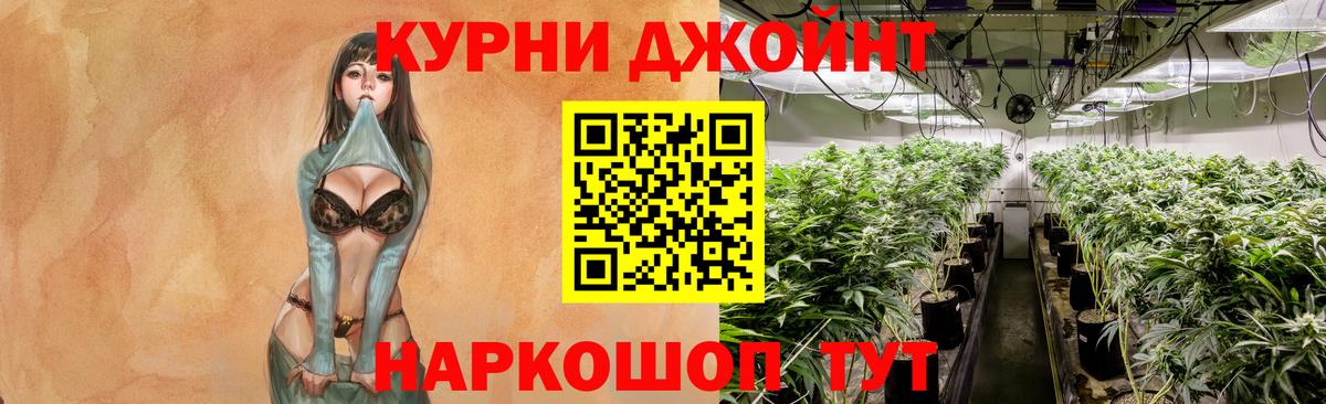 Ижевск  Конопля семена  Вход с VPN  Канабис план  Бошки марихуана сатива  Каннабис LSD WEED 
